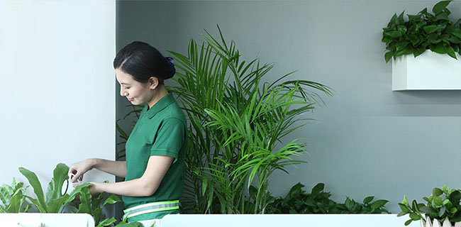 蘇州妙花匠
