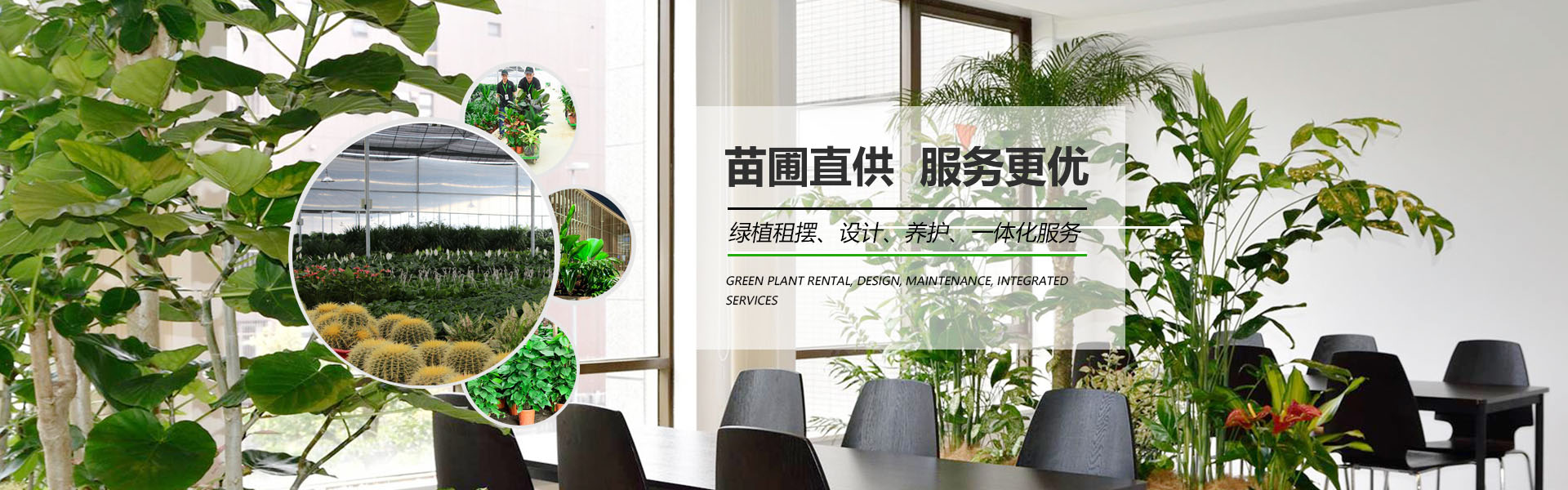 蘇州花卉租賃