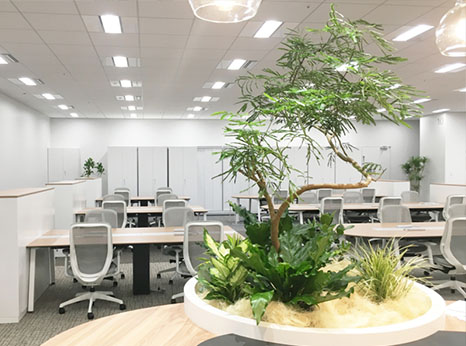 工廠綠化租擺方案